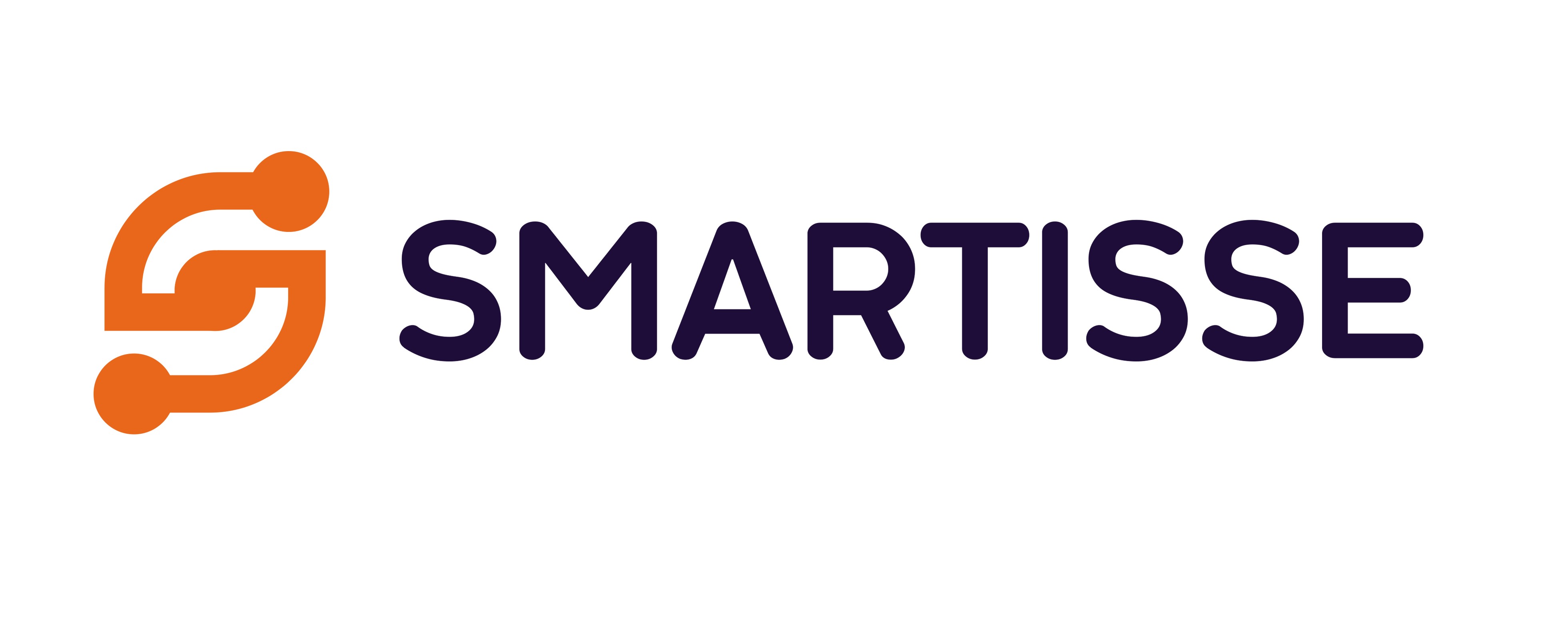 Smartisse Logo